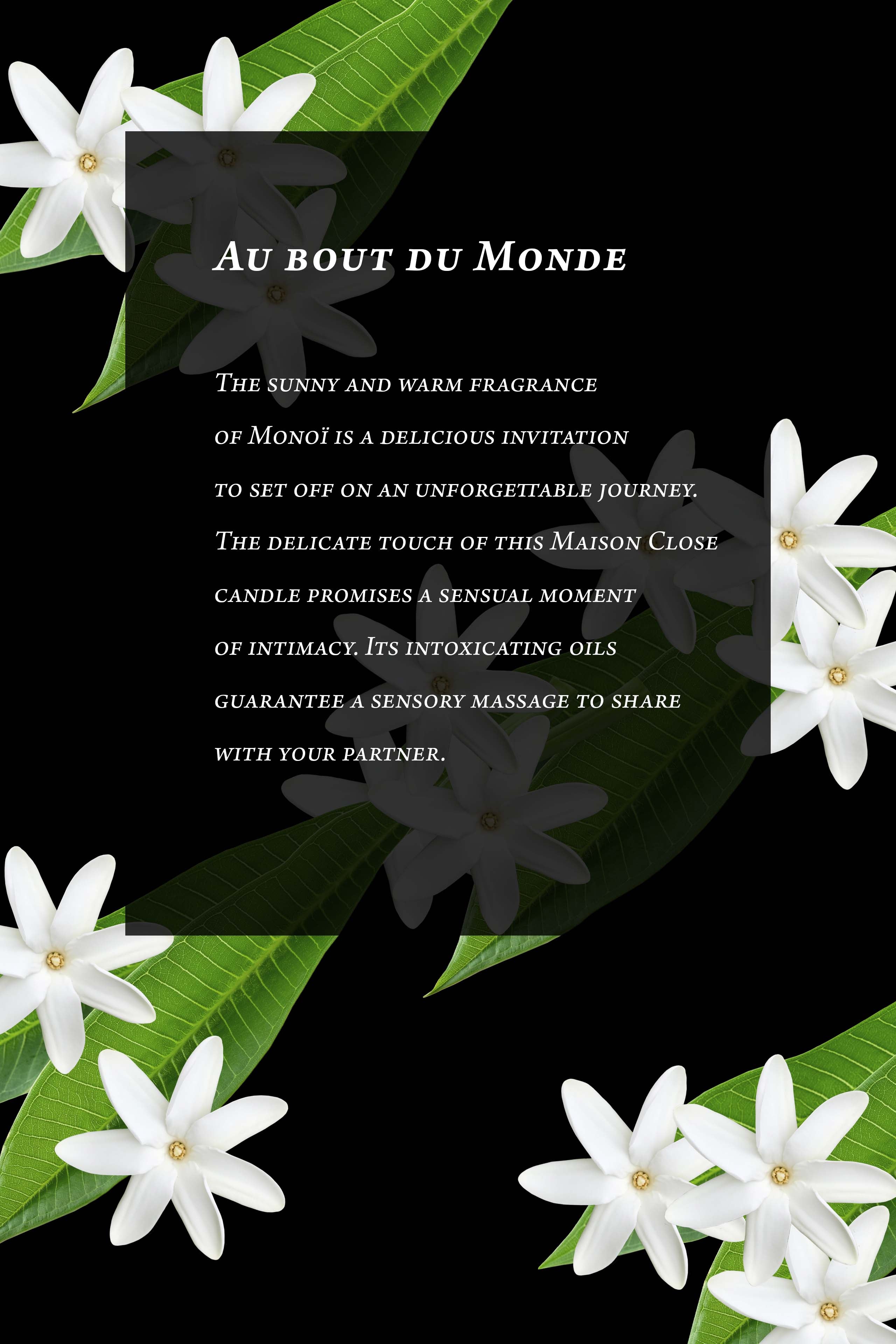 Massage Candle - Monoï - Au Bout du Monde