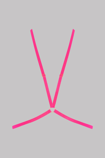 Harness - Signature
