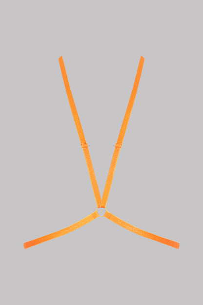 Harness - Signature