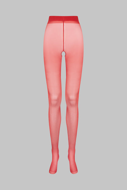 Open Obsession Tights 40D - Legwear