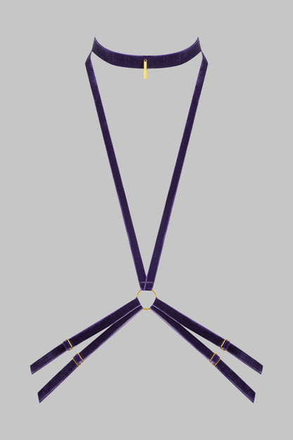 Harness - Velvet set