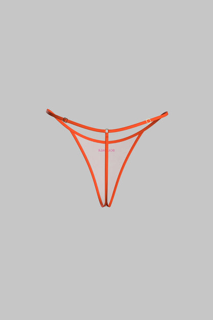 Micro Thong - PANORAMA